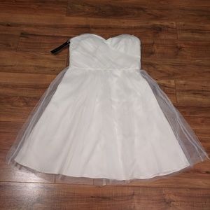 [2] NWT Ann Taylor Silk Tulle Ivory Dress